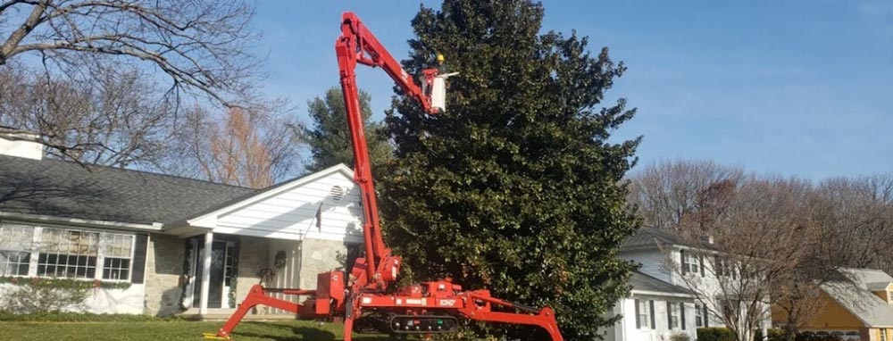 Bucket truck helping a worker to cut tree branches