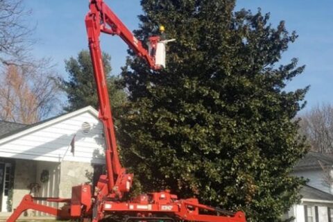 Bucket truck helping a worker to cut tree branches