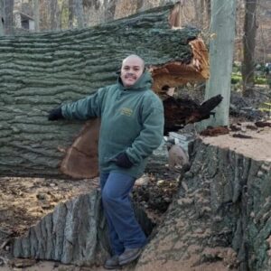 A man standing beside a giant cut down fallen tree