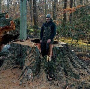 A man standing inside a giant cut down tree trunk