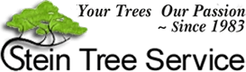 stein tree service logo