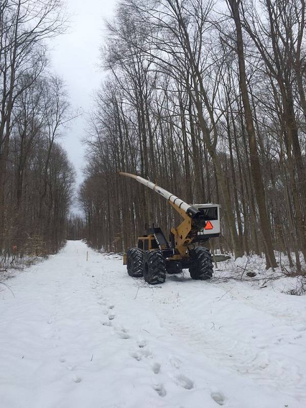 A Crane cleaning tree branches on a snow covered forest road
