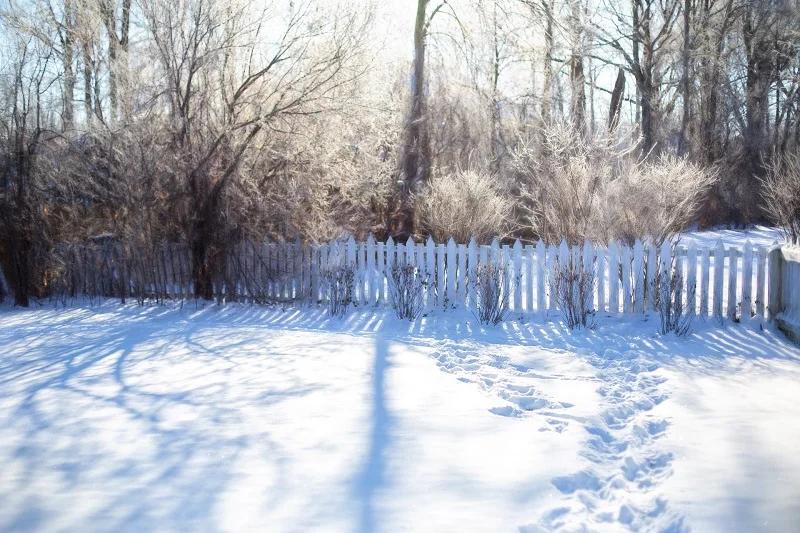 Snow on a wooden fence