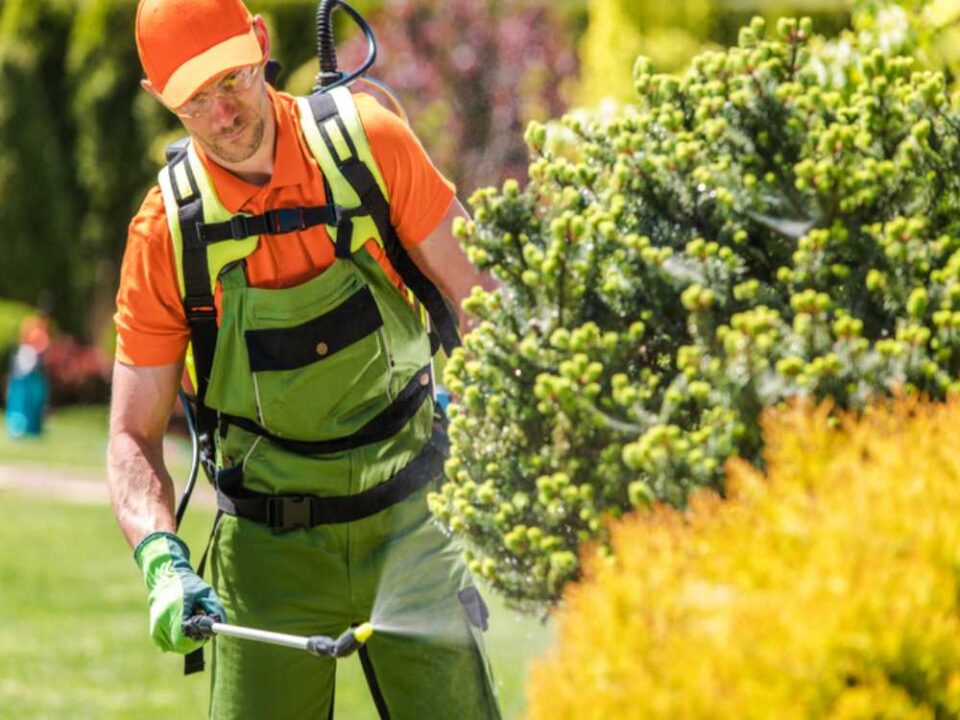 Tree and plant health specialist treating landscape plants in Northern MD and Southeastern PA